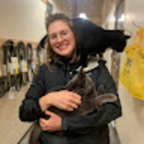 Meet your Posher, C - Picture 1 of 1